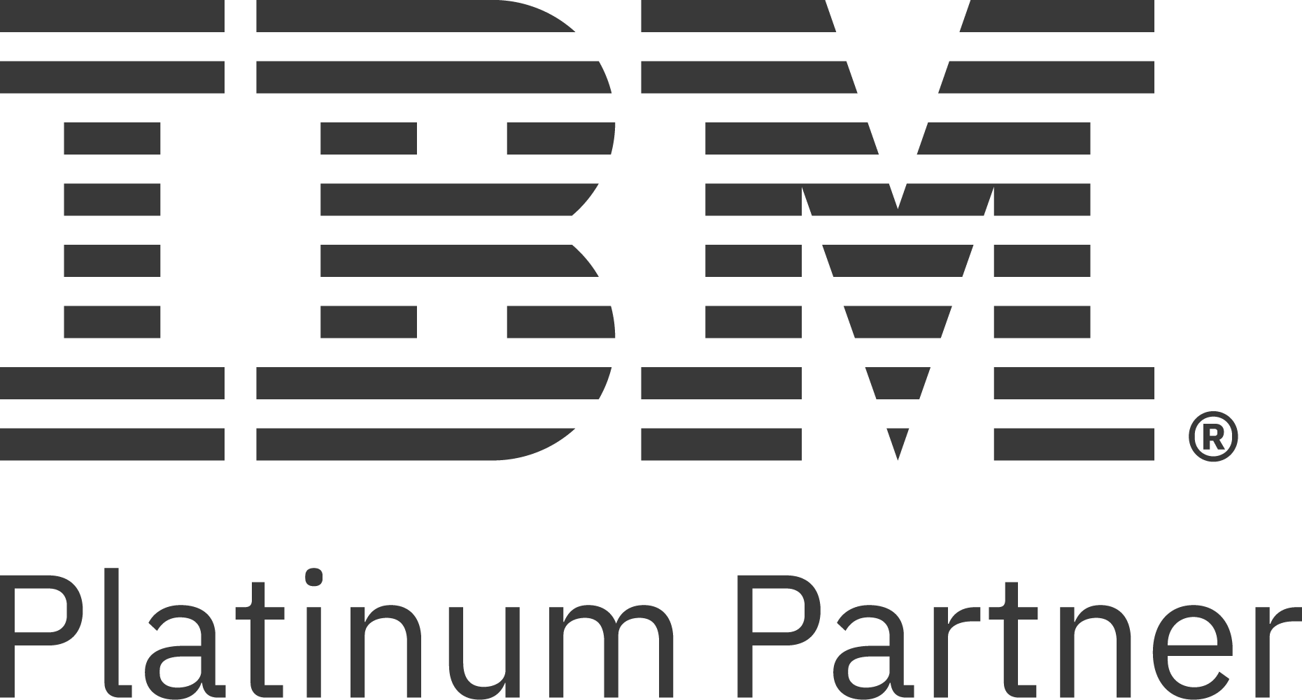 IBM Gold Partner Icon
